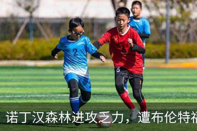 诺丁汉森林进攻乏力，遭布伦特福德零封