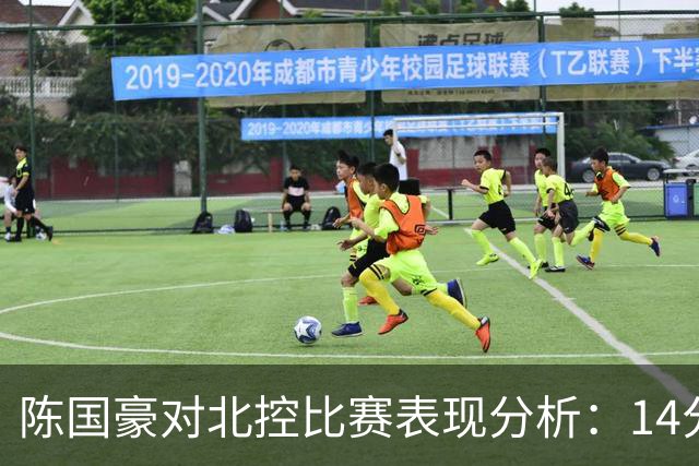 陈国豪对北控比赛表现分析:14分7篮板2盖帽的多维度影响